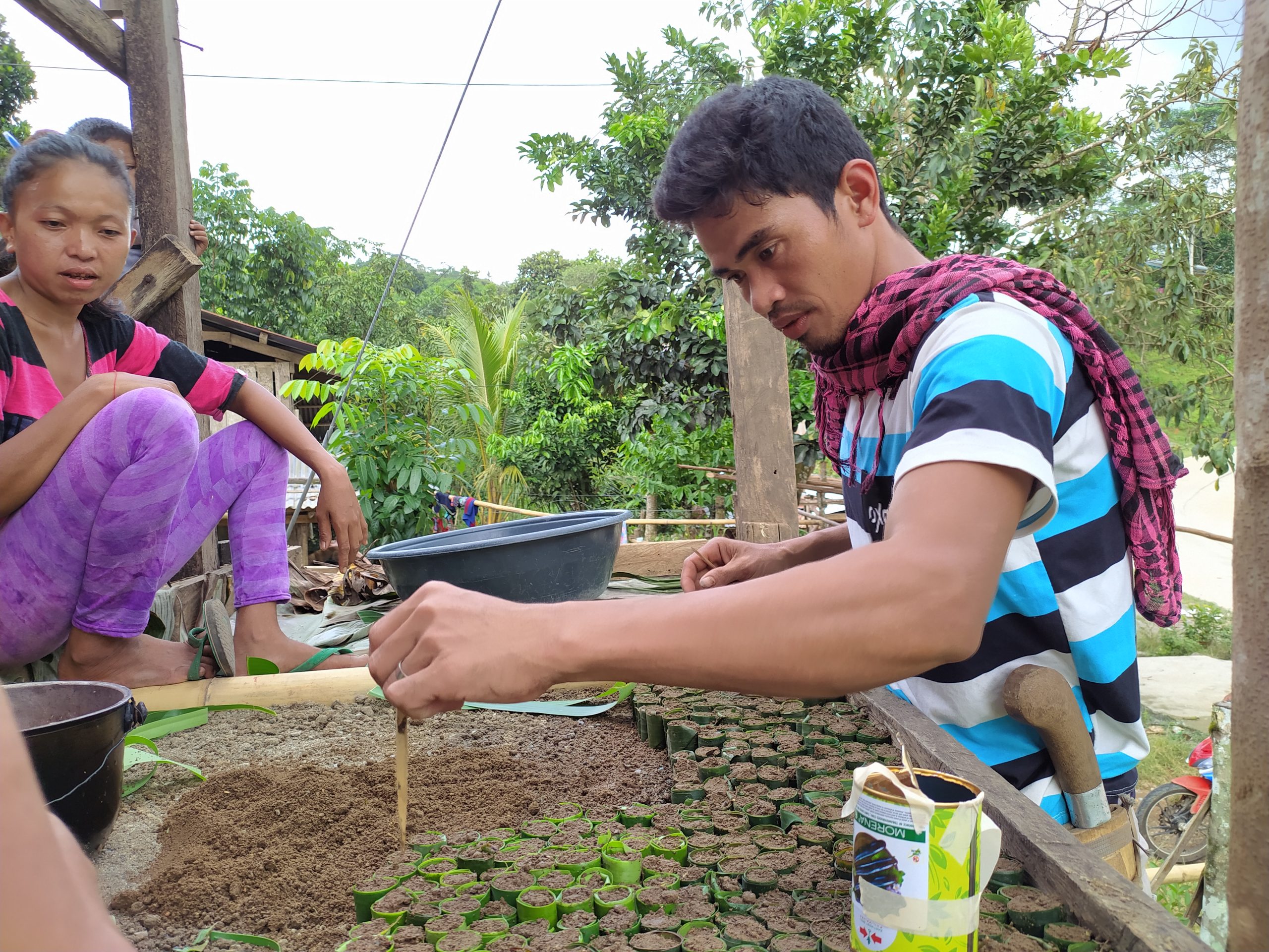 Read more about the article Transforming subsistence agriculture by enhancing abaca farmer