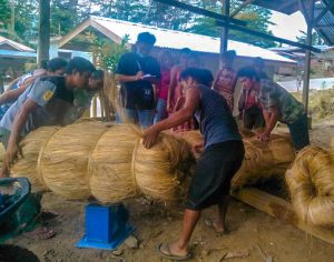 Read more about the article First Abaca-Focused Indigenous Peoples Social Enterprise (Ipse) Owned, Managed By Higaunon Established In Iligan City