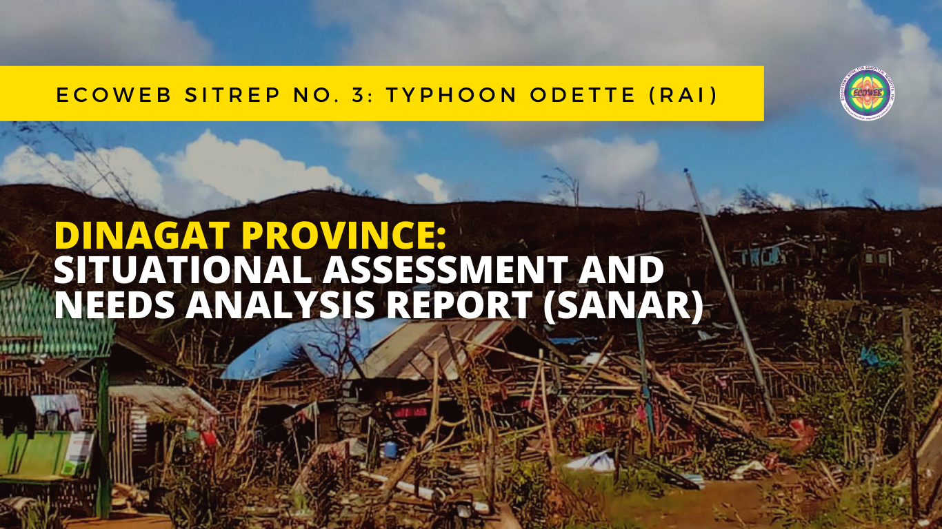Read more about the article Dinagat Province: Situational Analysis and Needs Assessment Report (SANAR)