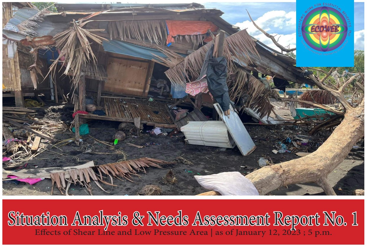 Read more about the article Situation Analysis & Needs Assessment Report No. 1