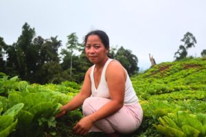 Read more about the article Empowering IP Communities, Cultivating Change from the Ground Up